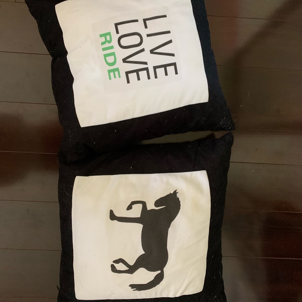 Horse pillow covers